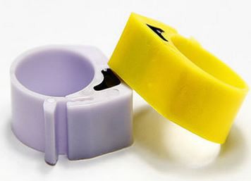 Smart Foot Ring For Bird Pigeon