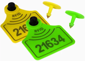 What Comes Next What Comes Next